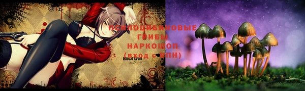 дмт Приозерск