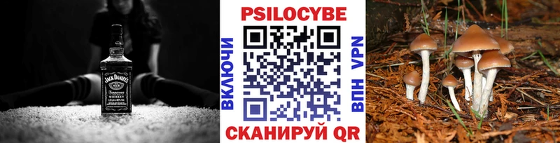 Галлюциногенные грибы ЛСД Северо-Курильск